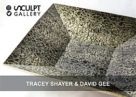 Tracey Shayer & David Gee 2017