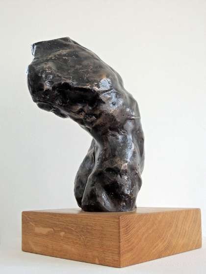 'Shaping the Future' Simon Bacon & Lucy Lutyens 2014 - Male Torso