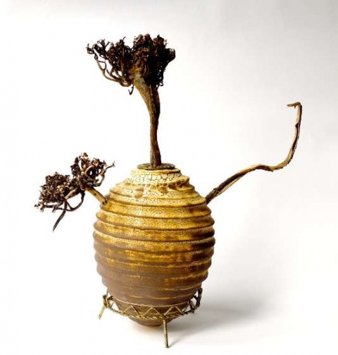 'People & Pots' 2014 - 'Bonsai' Pot