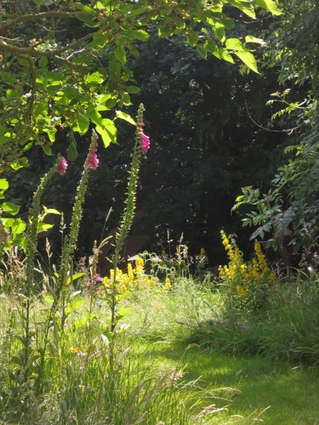 Sculpture in the Garden 2019 - Woodland Garden 2019