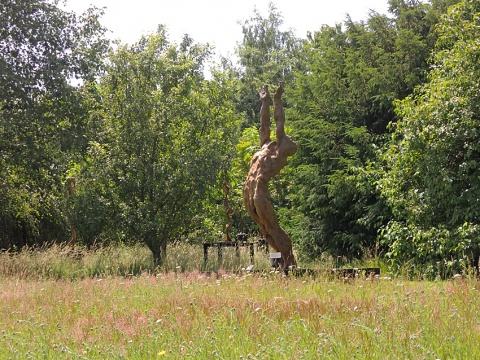 Sculpture in the Garden 2019 - Meadow 2019