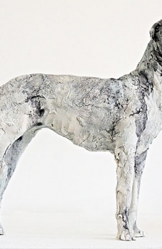 Summer Exhibition 2012 - Irish Woolf Hound