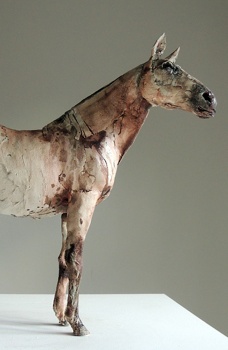 Christmas Exhibition 2012 - Appaloosa