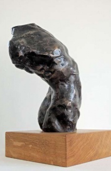 'Shaping the Future' Simon Bacon & Lucy Lutyens 2014 - Male Torso