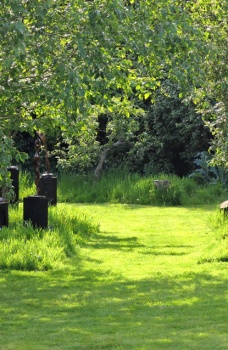 Sculpture in the Garden 2019 - Woodland Garden 2019