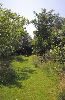 Sculpture in the Garden 2019 - Woodland Garden 2019