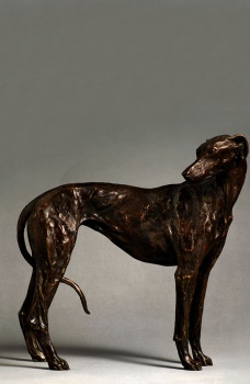 Animal Instincts - Standing Greyhound-Lurcher (lifesize)